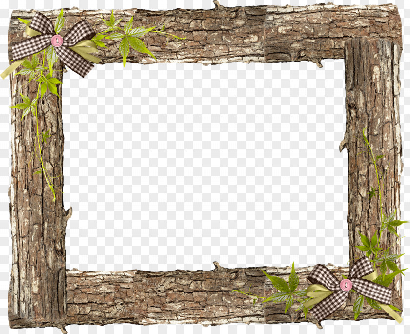 Photograph Paper Picture Frames Photography Greeting & Note Cards PNG