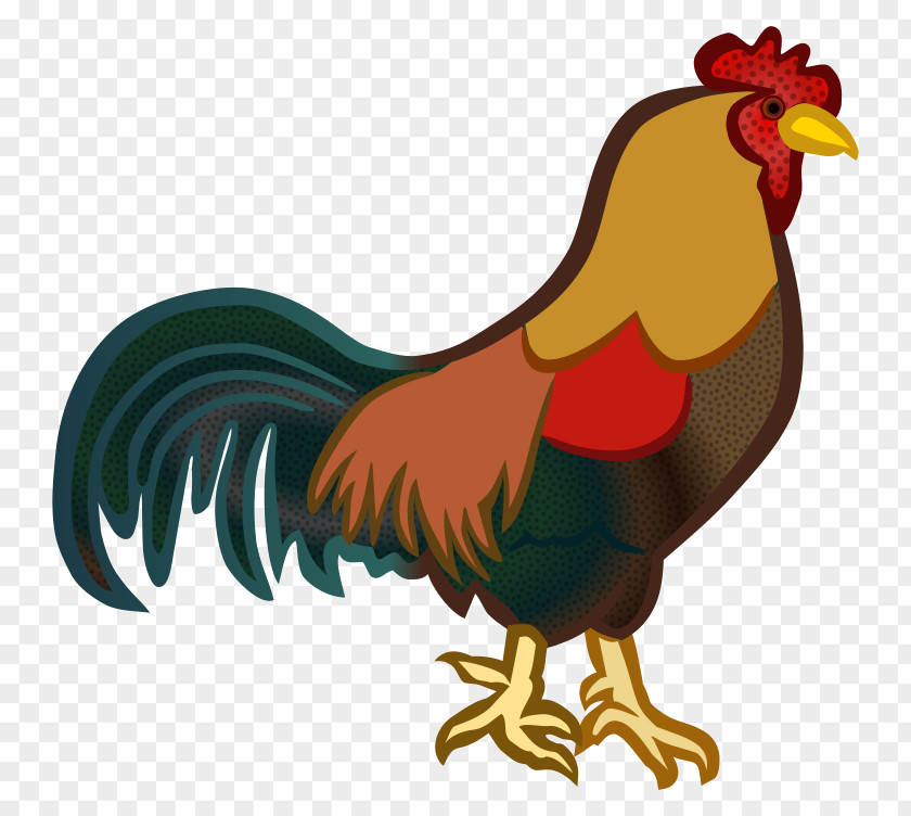 Chicken Clip Art Openclipart Rooster Vector Graphics PNG