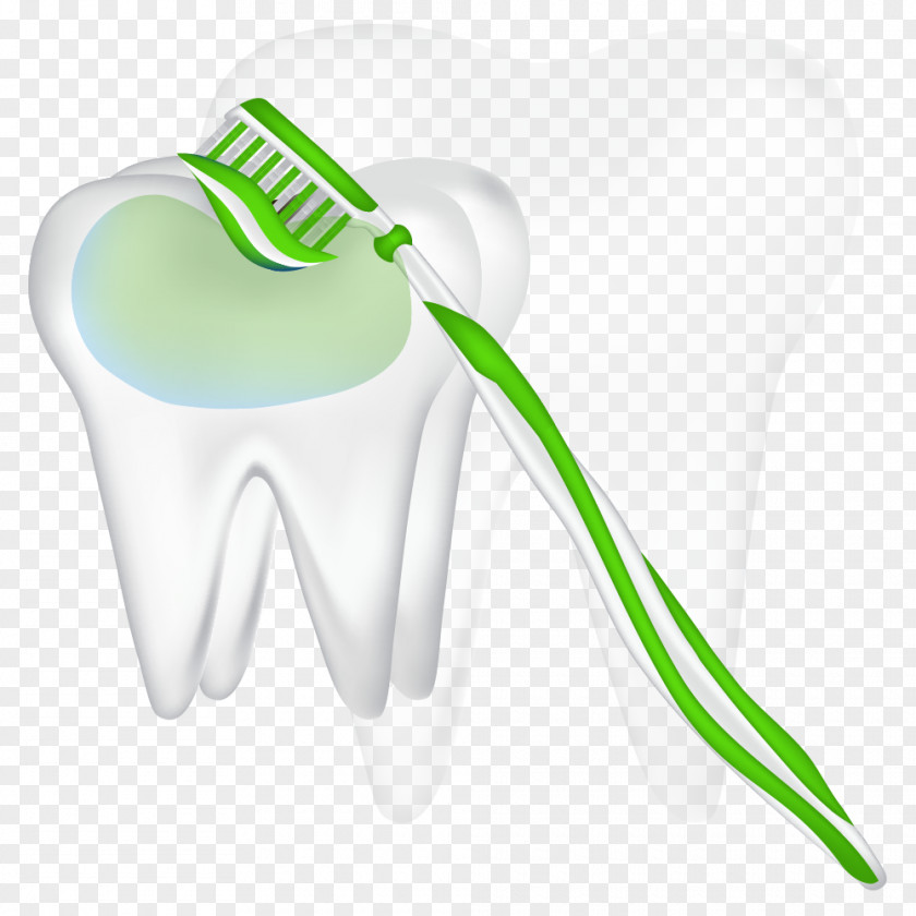 Green Toothbrush And Tooth Vector Clip Art PNG