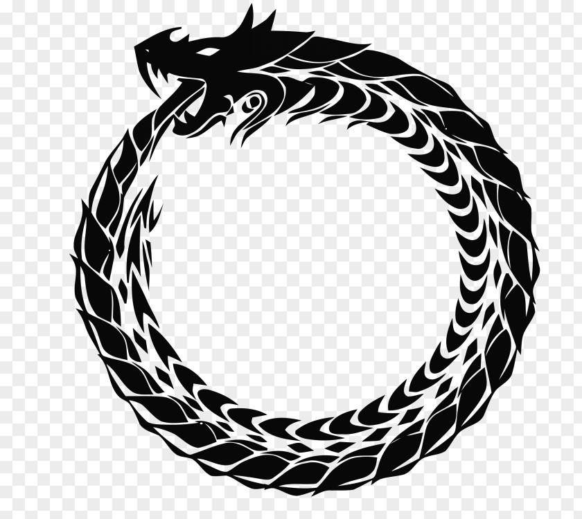 Last Posted Ouroboros Clip Art PNG