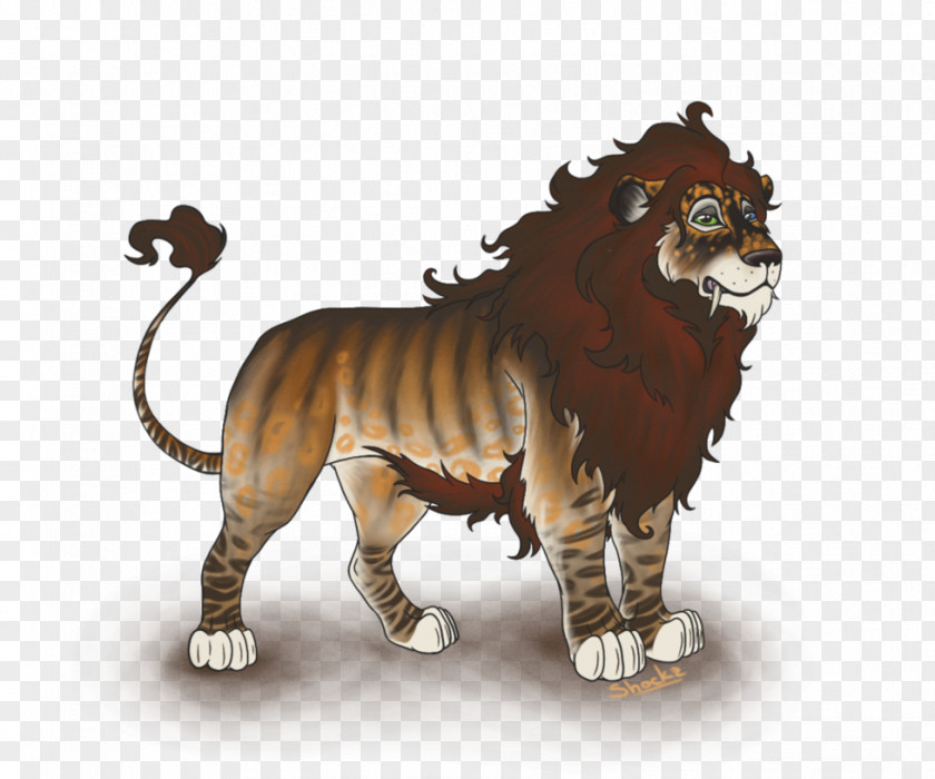 Lion Tiger DeviantArt Wildlife PNG