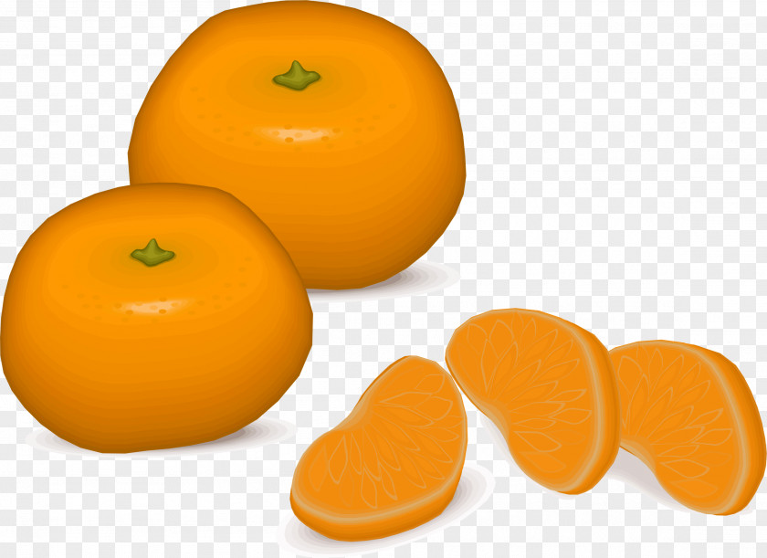 Orange Tangerine Mandarin Clip Art PNG