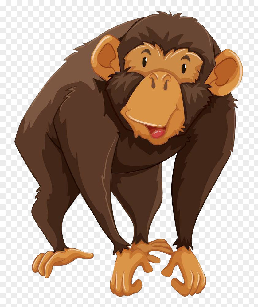Standing Gorilla Gibbon Monkey Chimpanzee Illustration PNG