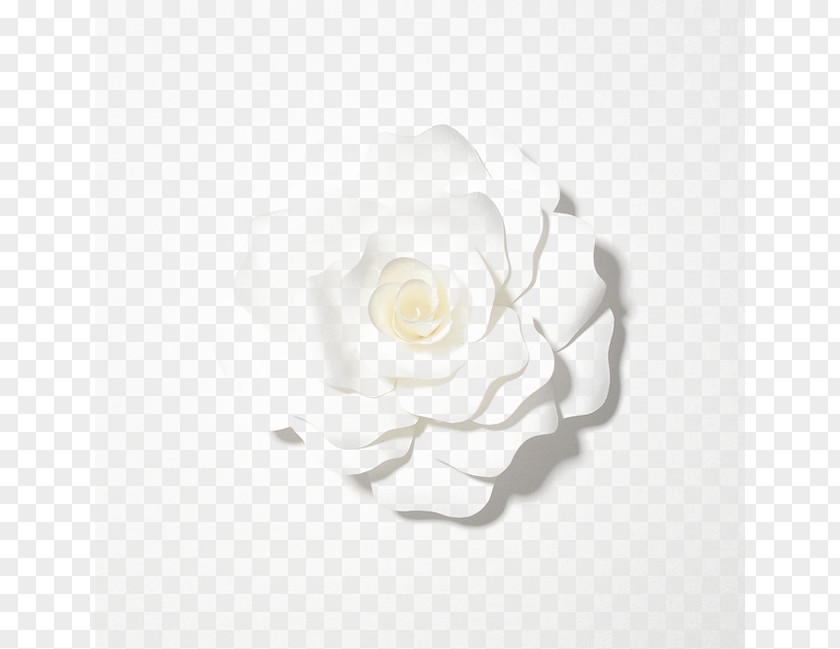 White Flower Tmall Designer PNG