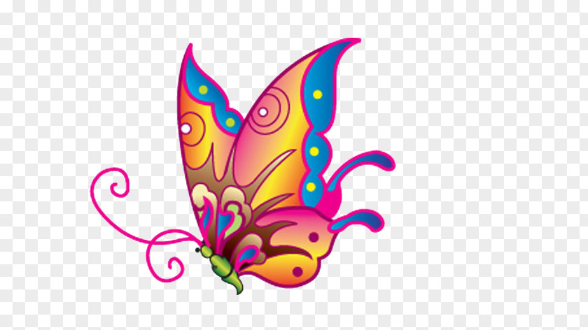 Butterfly Monarch Illustration PNG