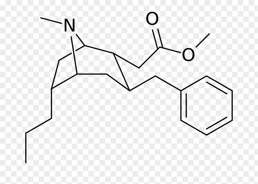 Catechol Catechin Acid Ester Phenols PNG