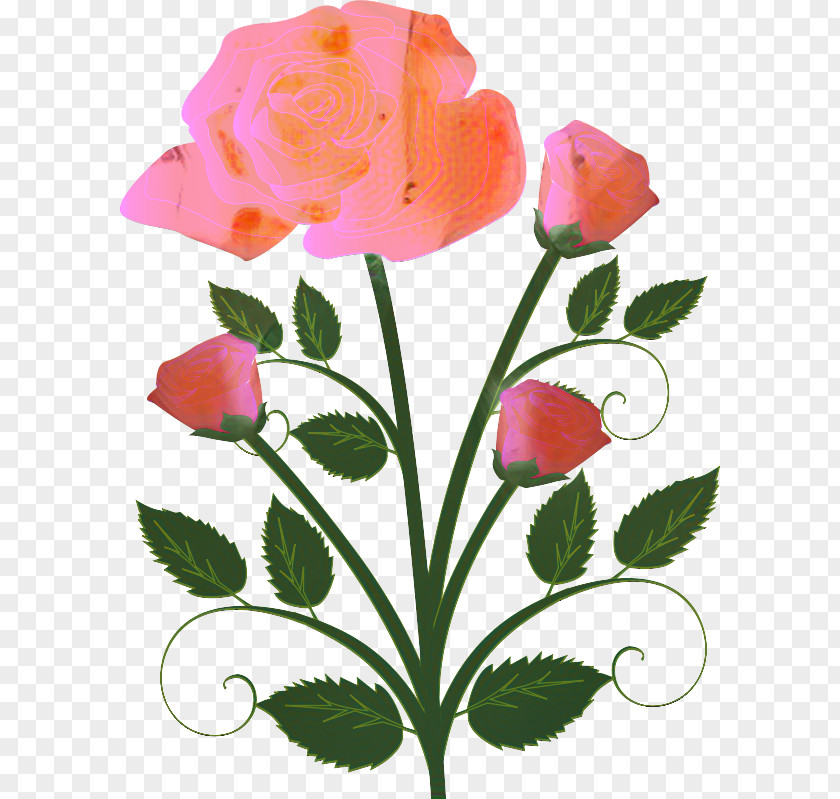 Clip Art Vector Graphics Flower Bouquet Rose PNG