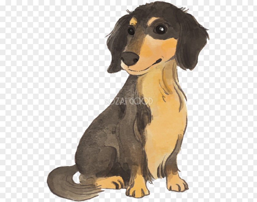 Puppy Dachshund Dog Breed Companion Airedale Terrier PNG