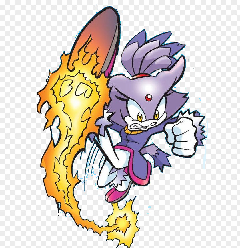 Blaze Sonic Rush Adventure The Hedgehog Cat Amy Rose Shadow PNG