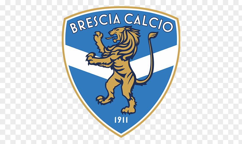 Football Brescia Calcio A.C. Perugia Spezia Foggia PNG