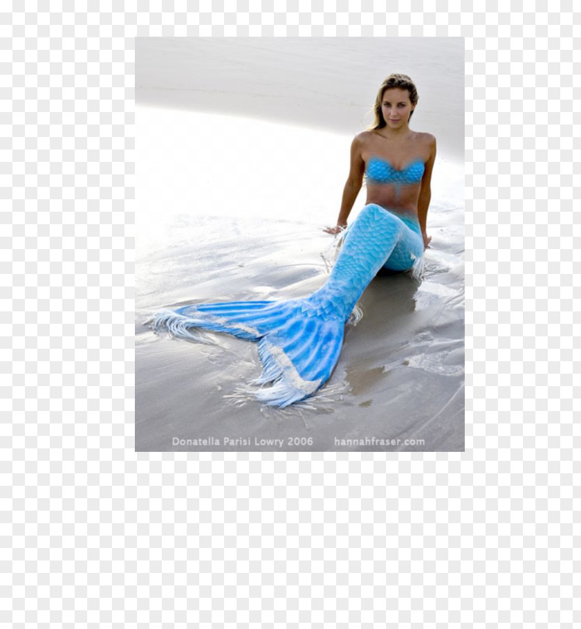Mermaid Merman Siren Finfolk Fairy Tale PNG