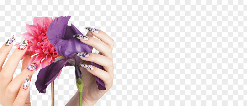 Nail Posters Figure Salon Polish Art PNG