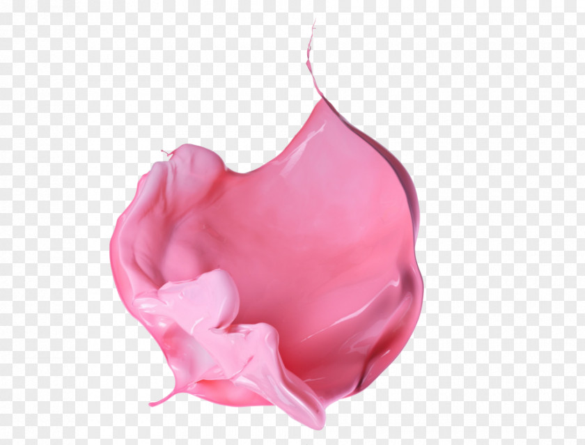 Painter Interior Or Exterior Pink M Petal Close-up Jaw PNG