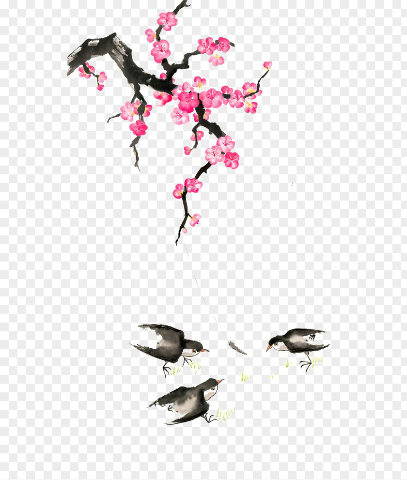 Plum Flower Watercolour Flowers Chinese Painting Blossom PNG