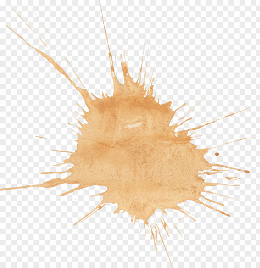 Watercolor Stain Painting Brown Orange PNG