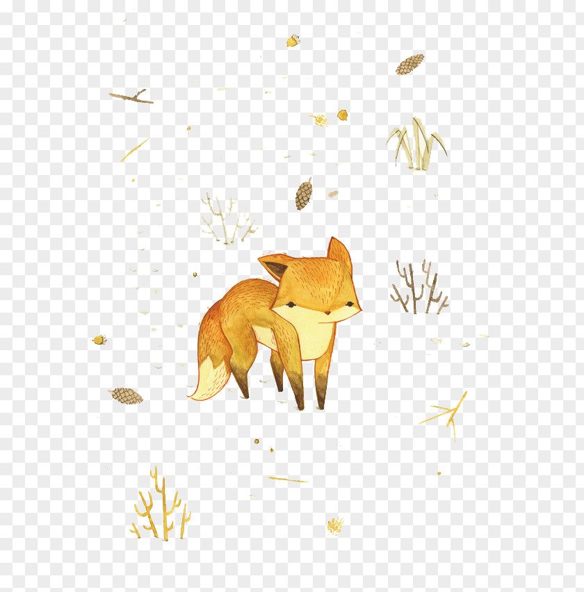 Fox Arctic Drawing Illustration Red PNG