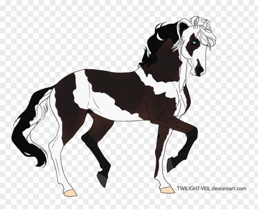 Mustang Stallion Foal Colt Pony PNG