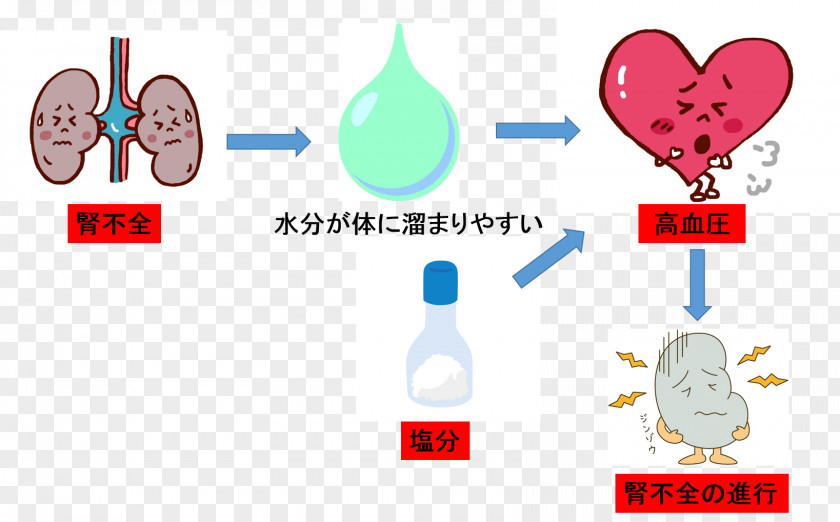 Nephrology Kidney Failure Chronic Disease PNG