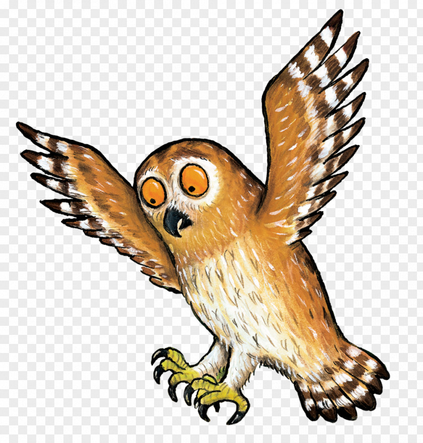 Owl The Gruffalo Book Children's Literature Room On Broom PNG