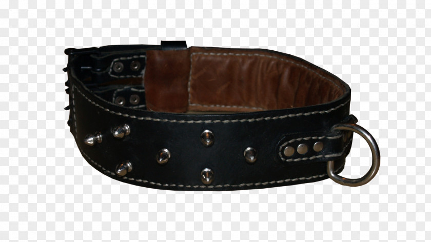 Belt Leather Strap Collar Meter PNG