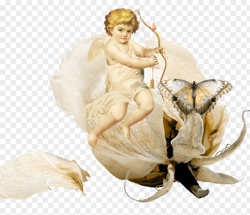 Cupid Love PNG