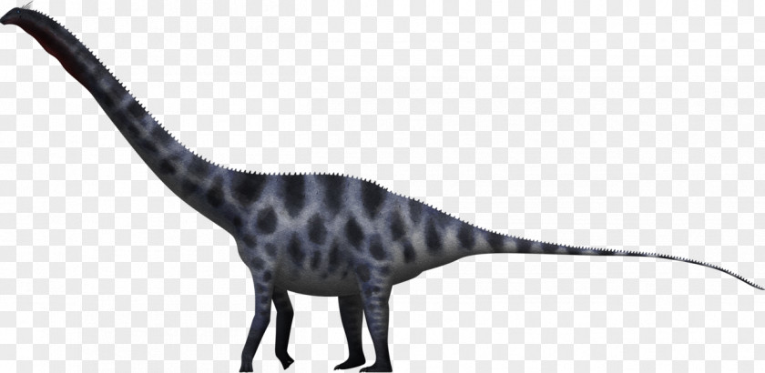 King Of Animals Supersaurus Dinosaur Size Seismosaurus Apatosaurus PNG