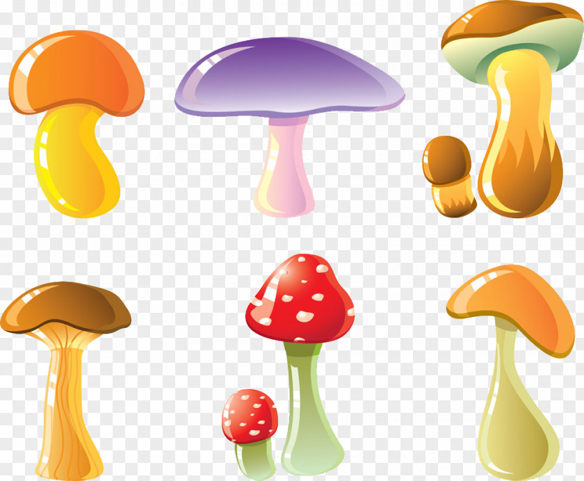 Mushroom Edible Euclidean Vector Cartoon PNG
