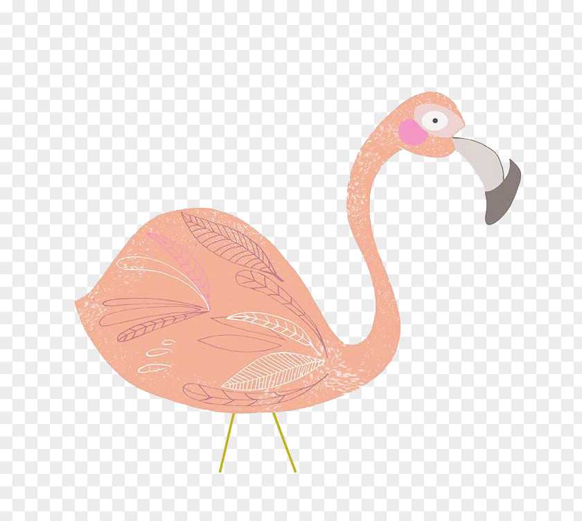 Pink Swan Beak Flamingo PNG
