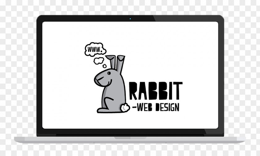Sock Drive Service Projects Responsive Web Design Website Development Rabbit PNG