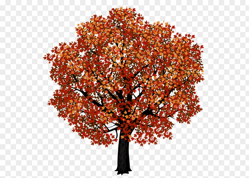 Tree Red Maple Japanese Clip Art PNG