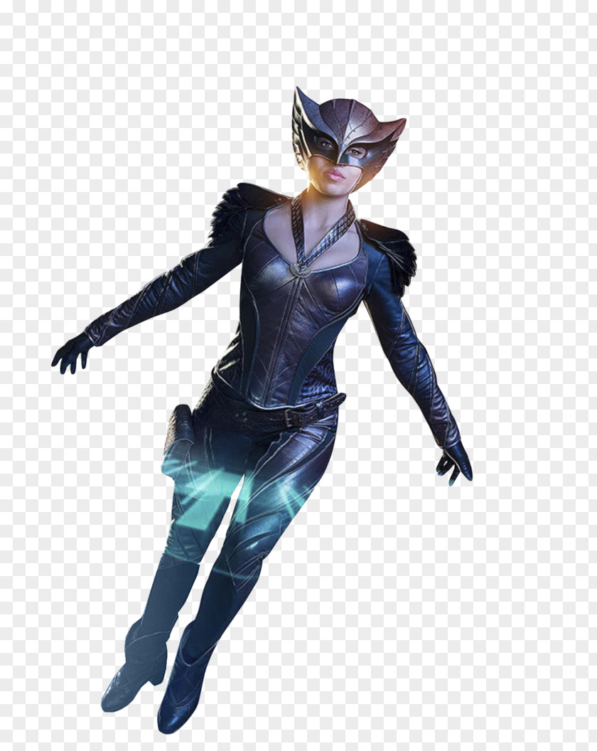 Hawkgirl Hawkman Atom Captain Cold Firestorm PNG