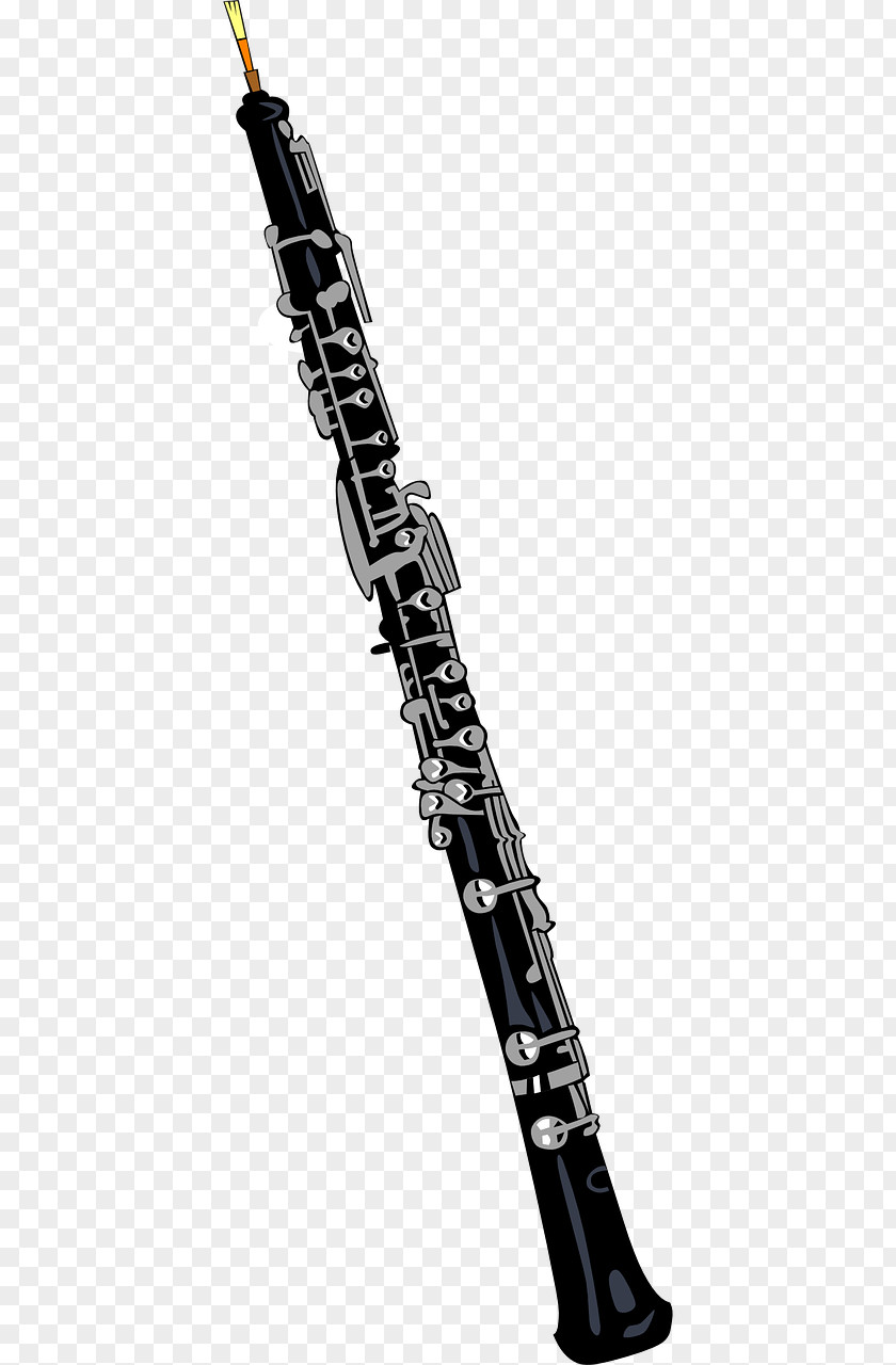 Musical Instruments Clarinet Oboe Clip Art PNG