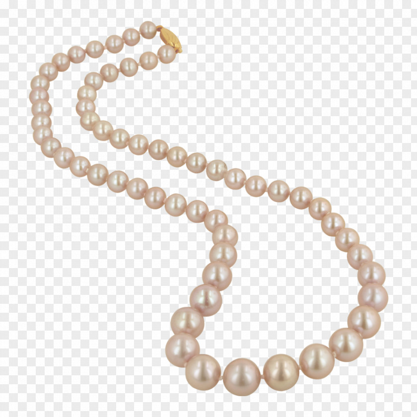Pearl String Necklace Jewellery Bead Stringing Clip Art PNG