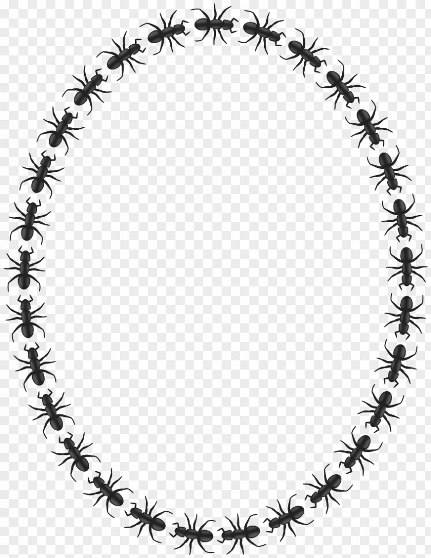 Ants Ant Mill Insect Circle Clip Art PNG