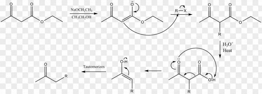Malonic Ester Synthesis Acetoacetic Diethyl Malonate Chemical Reaction PNG