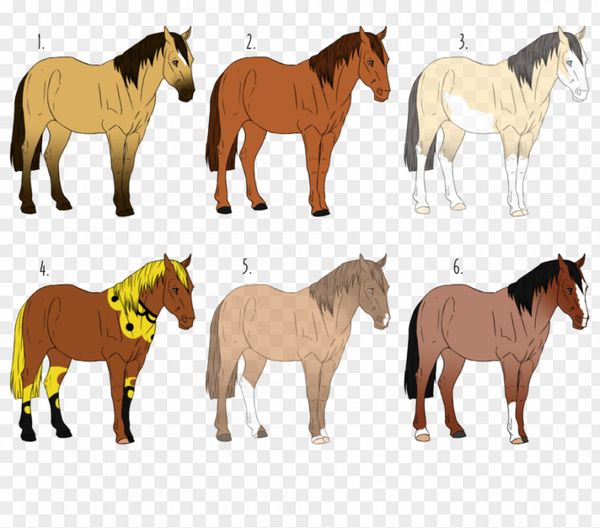 Pre-sale Mustang Pony Stallion Mare Pack Animal PNG