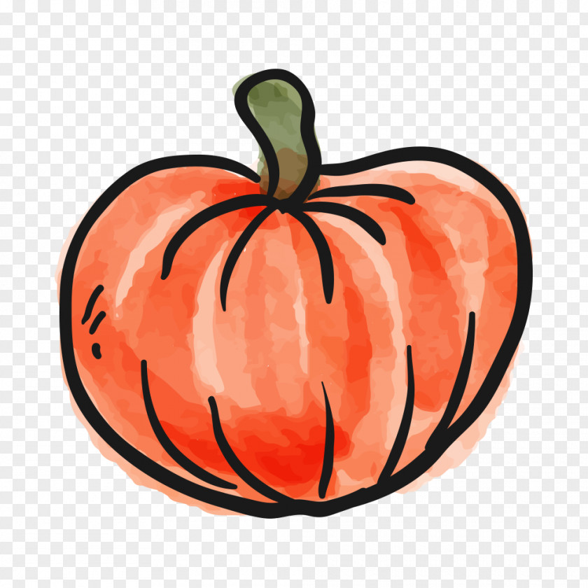 Pumpkin Decorating Image Vegetable Gourd PNG
