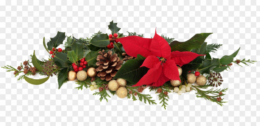 Christmas Decoration Poinsettia Decorative Arts PNG