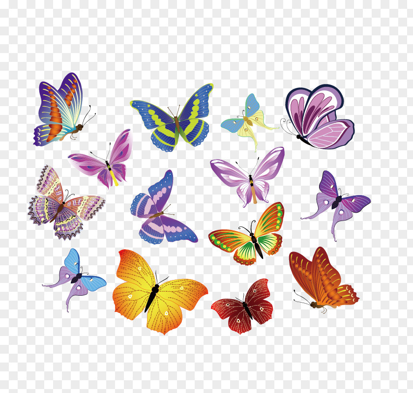 Colorful Butterfly Vector Material Royalty-free Euclidean Clip Art PNG