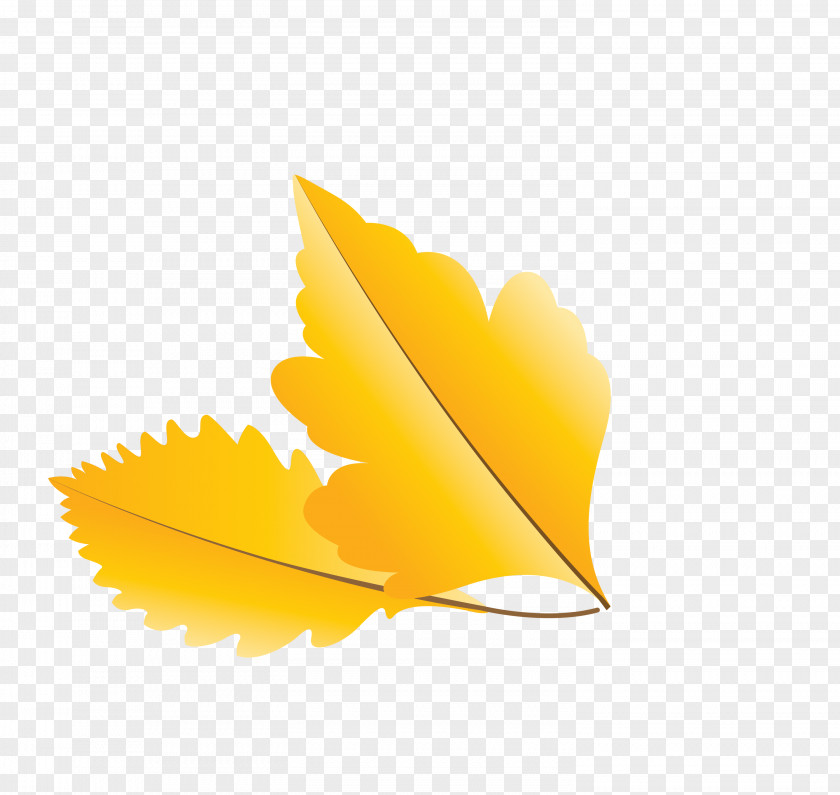 Leaf Yellow Computer Meter M PNG