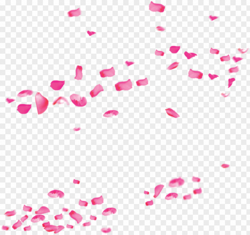 Pink Rose Petals Drift Valentines Day International Womens PNG