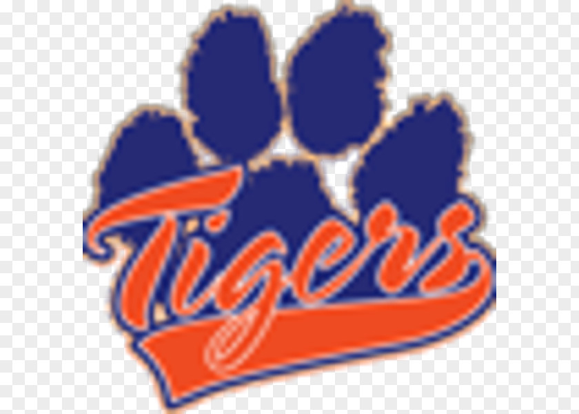 Tiger Detroit Tigers Baseball Sport Clip Art PNG