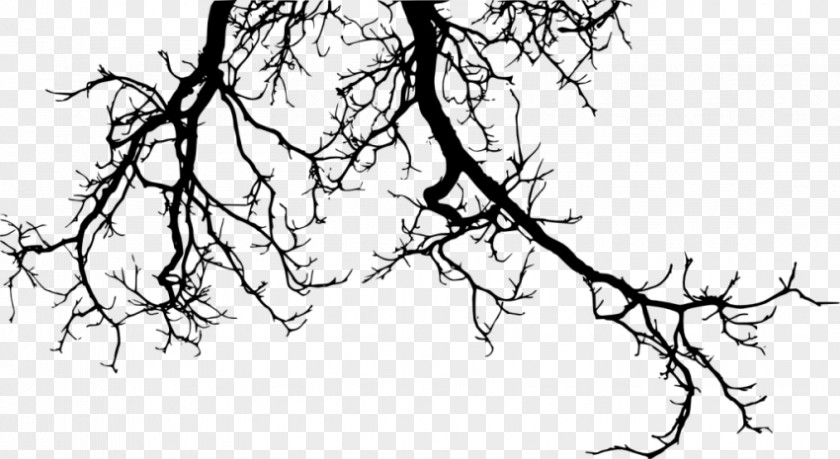 Tree Branch Clip Art PNG