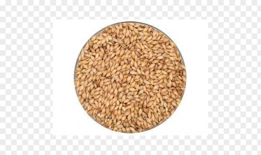 Whole Barrels Oat Warring States Period Cereal Grain Emmer PNG