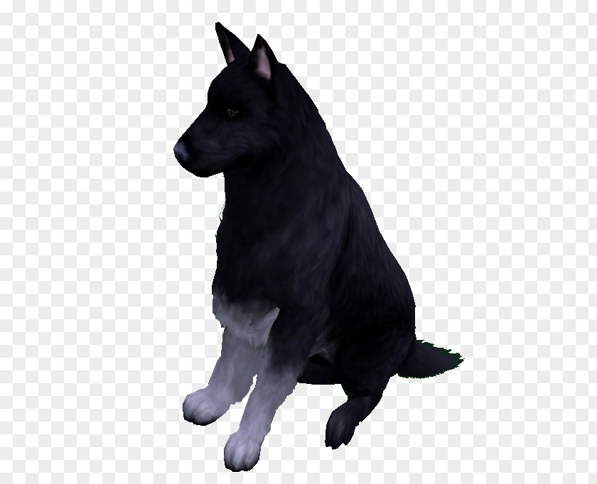 Bear Schipperke Black Norwegian Elkhound Karelian Dog Kunming Wolfdog PNG