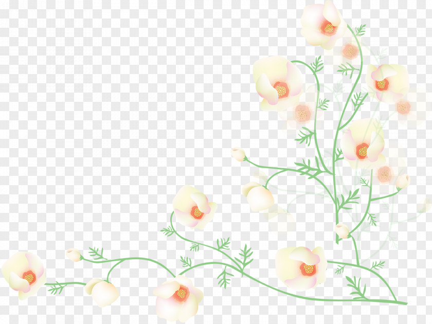 Corner Flower Poppy Desktop Wallpaper PNG