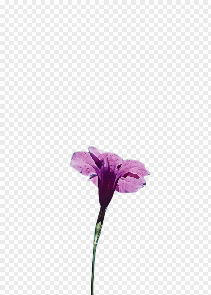 Cut Flowers Lilac Flower Flowering Plant Violet Purple PNG