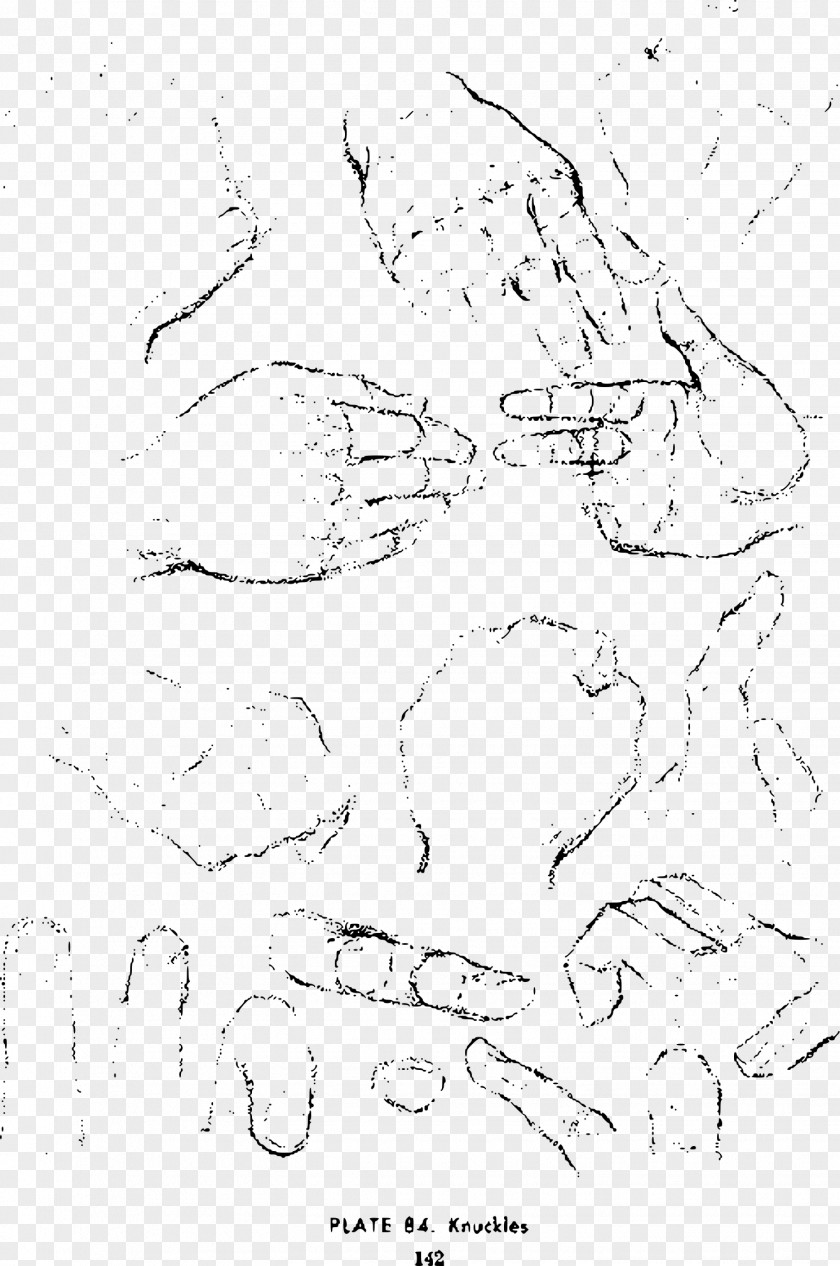 Hand Sketches Drawing The Head And Hands Sketch PNG