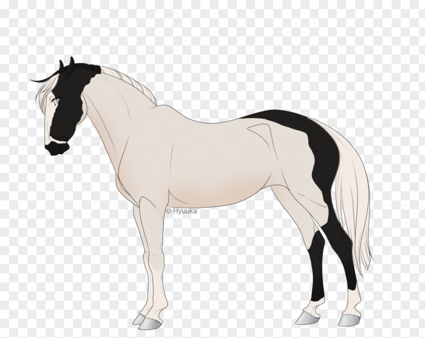 Mustang Foal Mane Stallion Mare PNG