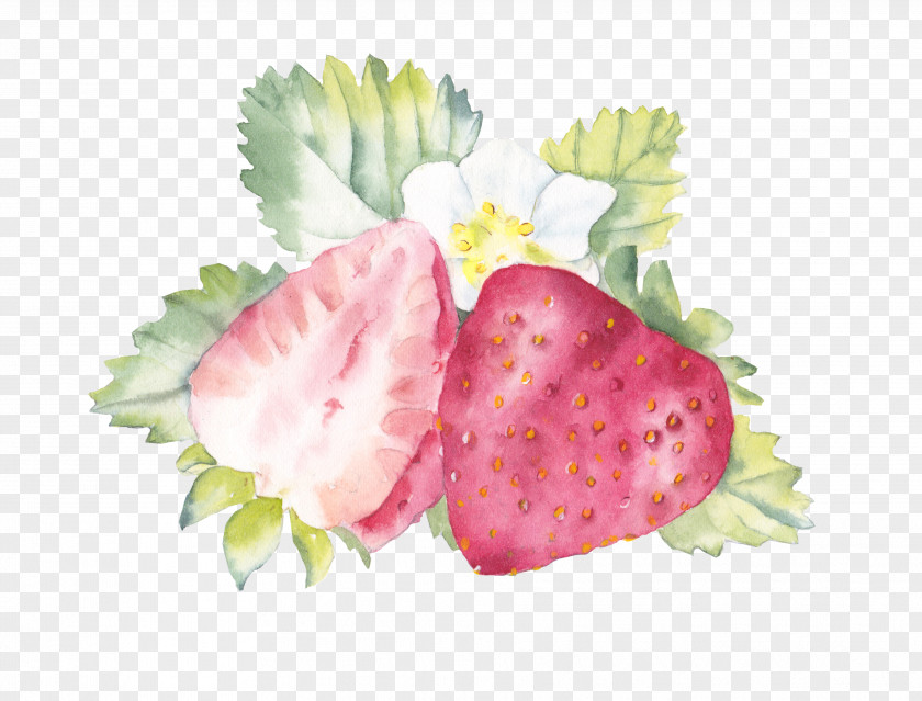 Watercolor Cooking Painting Strawberry Fruit PNG